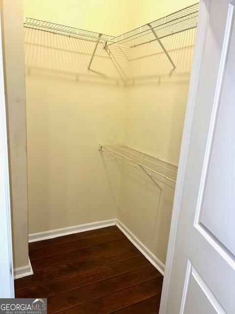 spacious closet featuring hardwood / wood-style flooring