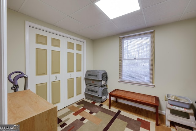 living area featuring light hardwood / wood-style floors and a drop ceiling