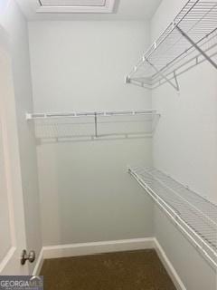 view of spacious closet