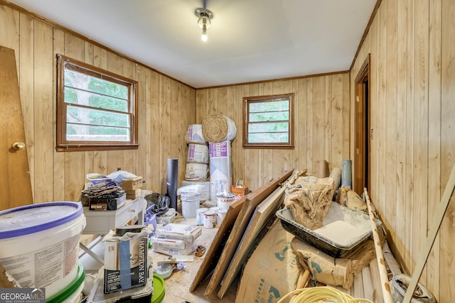 misc room featuring ornamental molding and wood walls