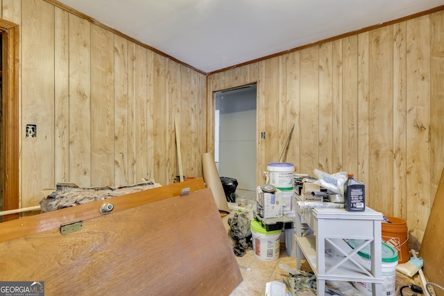 bathroom featuring wooden walls and ornamental molding