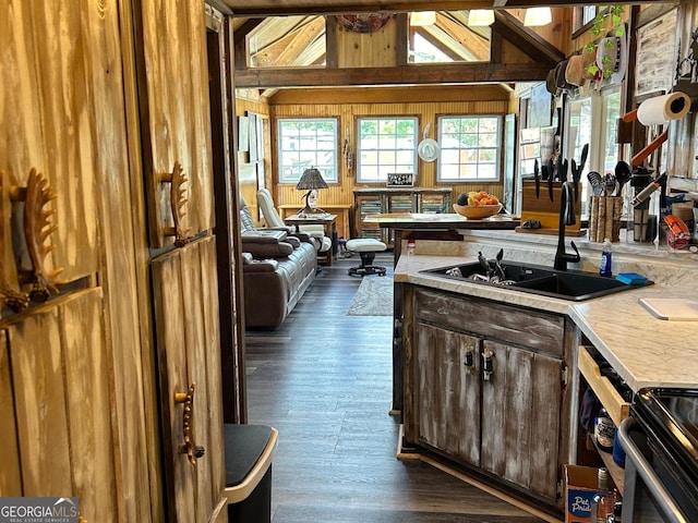 kitchen with lofted ceiling, sink, a healthy amount of sunlight, and wood walls