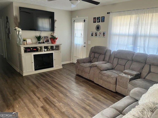 living room featuring ceiling fan and dark hardwood / wood-style flooring