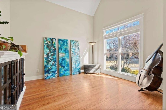 workout area featuring plenty of natural light, high vaulted ceiling, and light wood-type flooring