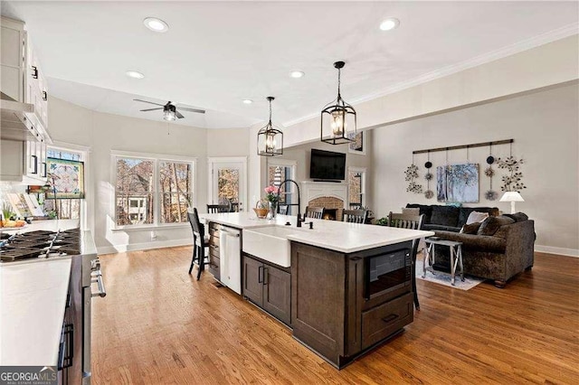 kitchen with dark brown cabinetry, sink, a center island with sink, stainless steel appliances, and white cabinets