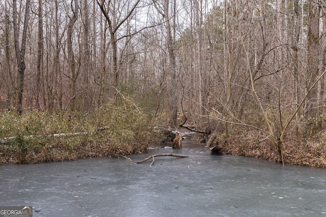 view of local wilderness