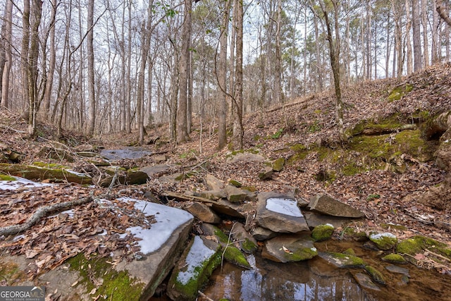 view of nature