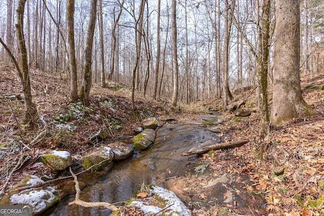 view of nature