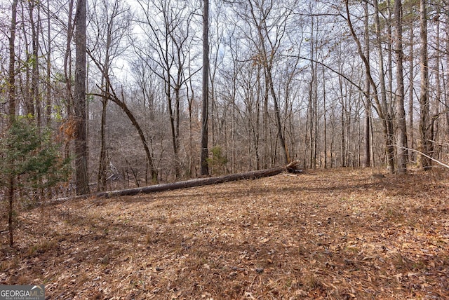 view of local wilderness