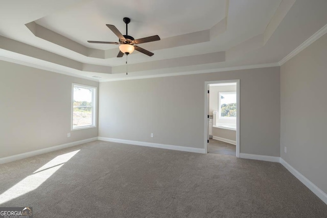 empty room featuring a wealth of natural light, ornamental molding, a raised ceiling, and carpet