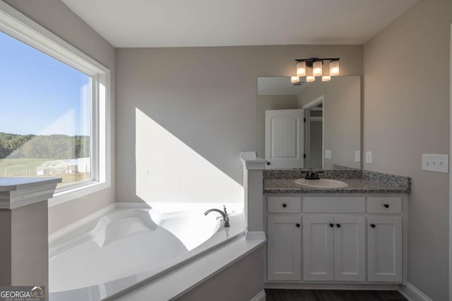 bathroom featuring vanity, a wealth of natural light, and a tub