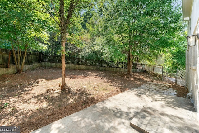 view of yard featuring a patio area