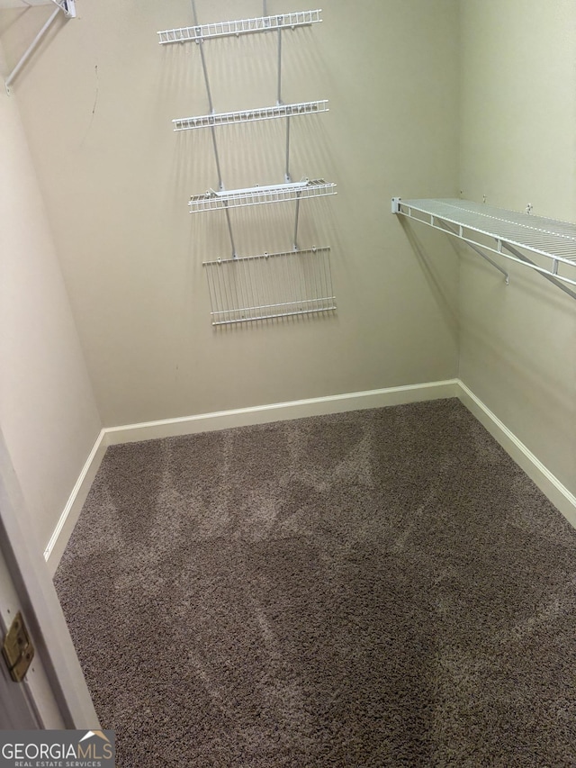 walk in closet with carpet floors