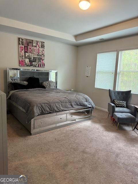 bedroom featuring a tray ceiling and carpet