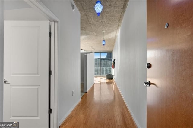 hall featuring floor to ceiling windows and light wood-type flooring