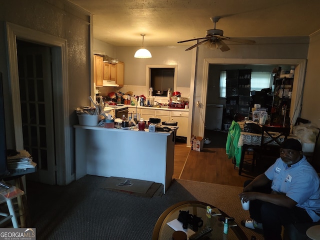 kitchen featuring hanging light fixtures, electric range oven, ceiling fan, and hardwood / wood-style flooring