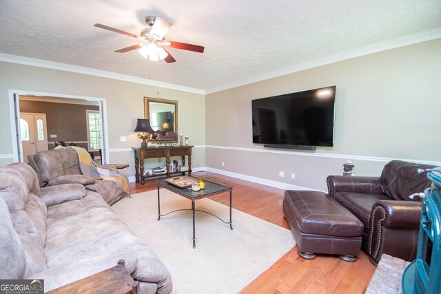 living room with ceiling fan, ornamental molding, hardwood / wood-style floors, and a textured ceiling