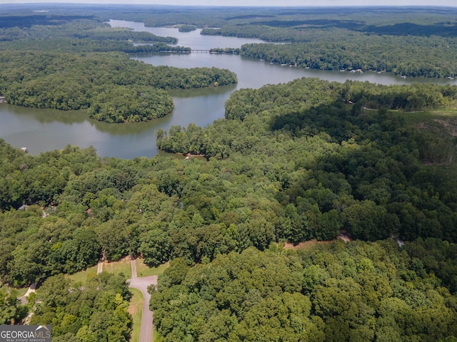 108 Stonebridge Ln, Lagrange, GA 30240 - drone / aerial view of a heavily wooded area and a nearby body of water