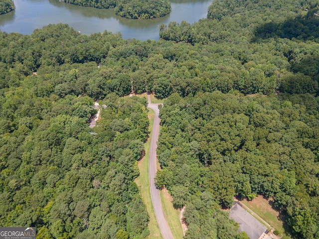 108 Stonebridge Ln, Lagrange, GA 30240 - aerial view of property and surrounding area featuring a forest and a nearby body of water