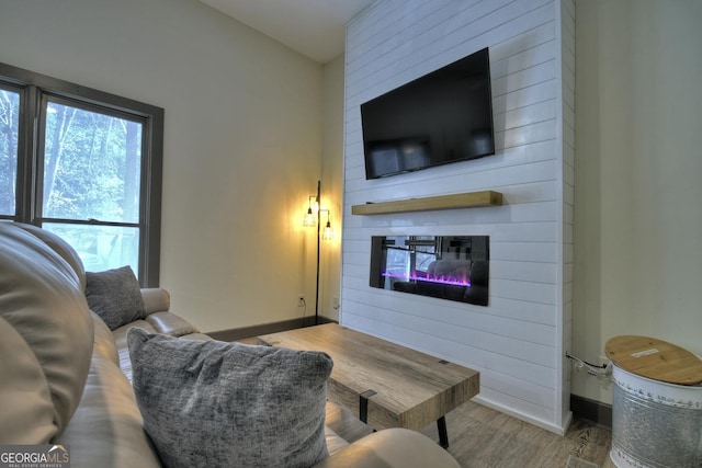 living room featuring a fireplace and light wood-type flooring