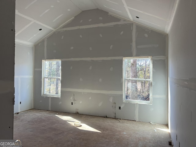 spare room featuring vaulted ceiling and a wealth of natural light