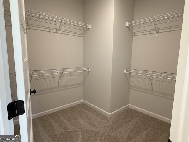 walk in closet featuring carpet