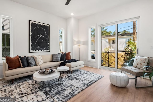 living room with ceiling fan and light hardwood / wood-style floors