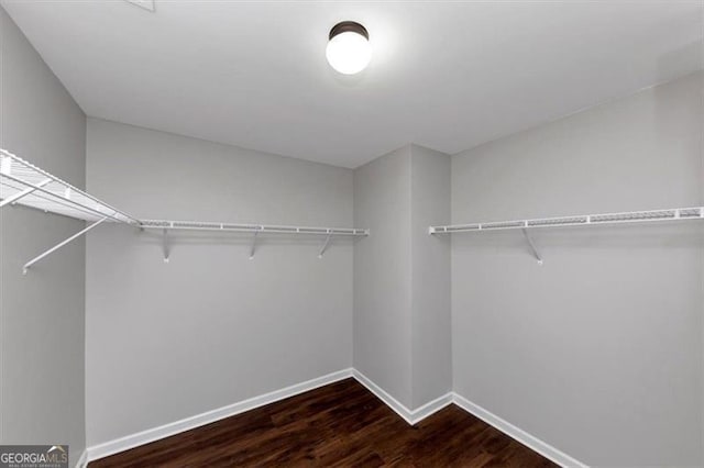 walk in closet featuring dark hardwood / wood-style floors