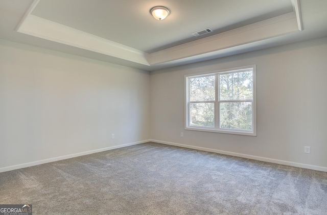 carpeted spare room featuring a raised ceiling