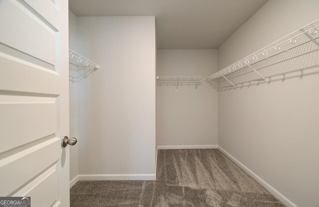 spacious closet with carpet flooring