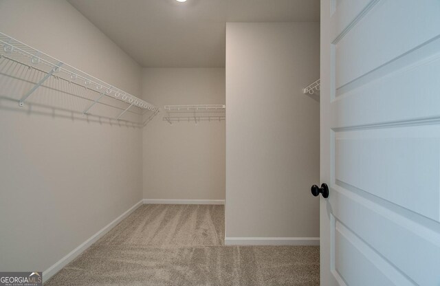 walk in closet featuring light colored carpet