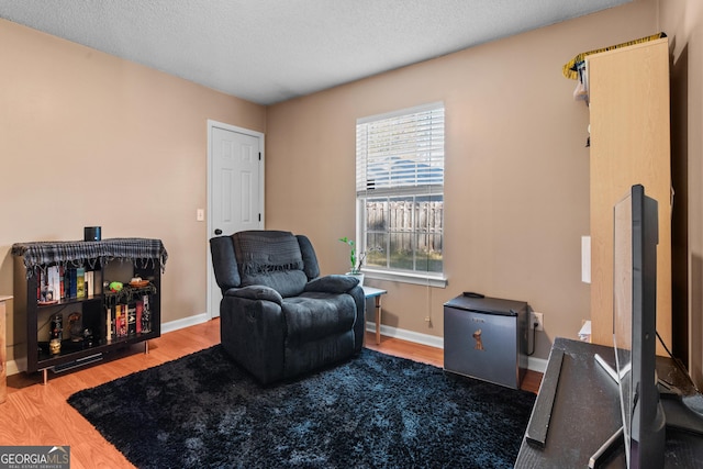 living area featuring hardwood / wood-style floors and a textured ceiling