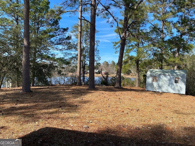 view of yard featuring a storage unit