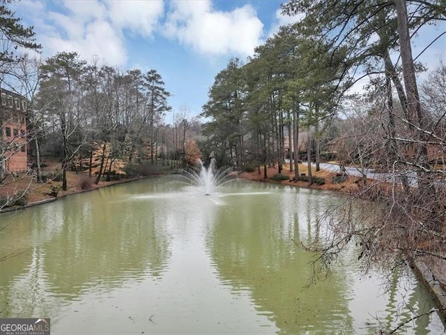 view of water feature