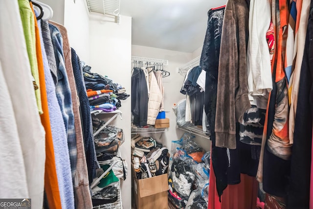 view of spacious closet