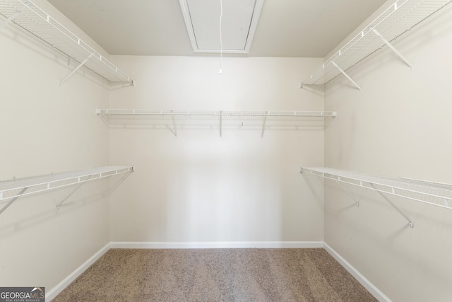 spacious closet with carpet flooring