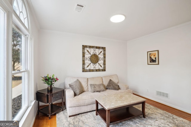 living room with crown molding and wood-type flooring