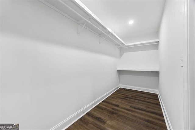 walk in closet featuring dark hardwood / wood-style floors