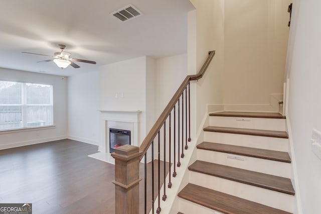 staircase with wood-type flooring and ceiling fan