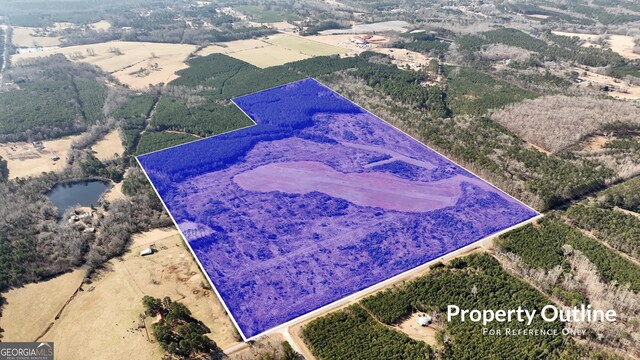 0 River Rd Unit 119.71/- Ac, Manchester GA, 31816 land for sale