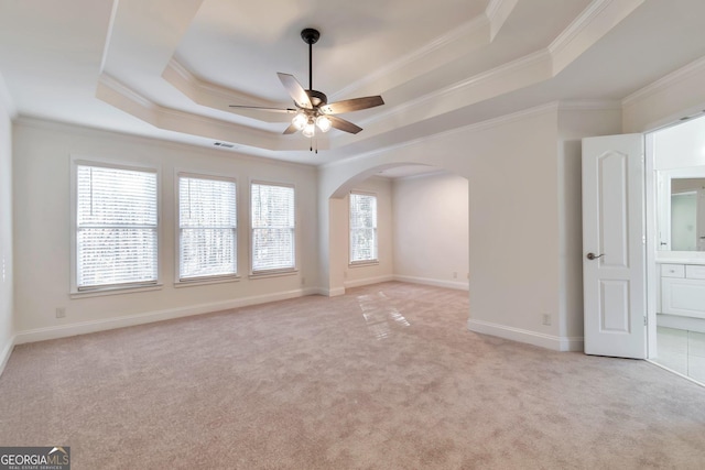 carpeted spare room featuring a tray ceiling, a wealth of natural light, and ornamental molding