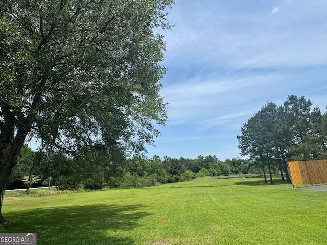 101 Willow Ridge Cir, Thomasville, GA 31757 - view of yard