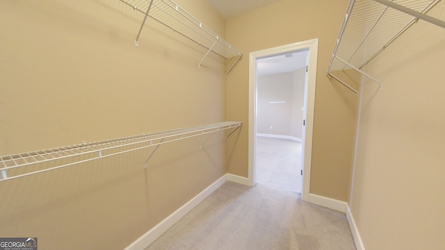 spacious closet with carpet floors