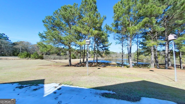 view of yard featuring a water view