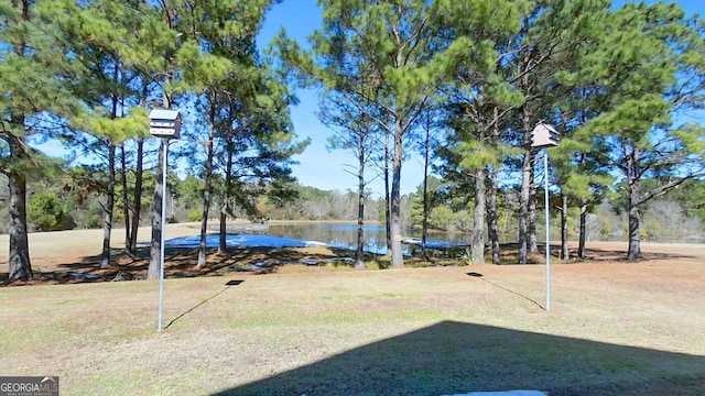 view of yard with a water view