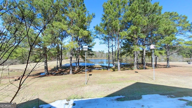 view of yard with a water view