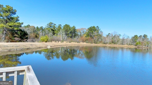 101 Willow Ridge Cir, Thomasville, GA 31757 - water view
