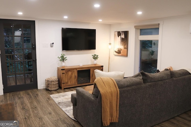 living room with dark hardwood / wood-style floors