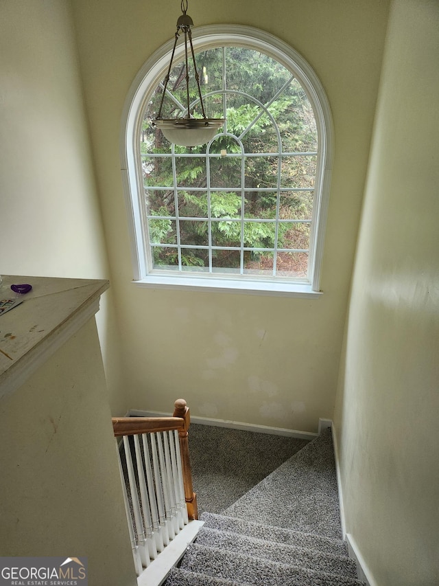 staircase featuring carpet floors and a wealth of natural light