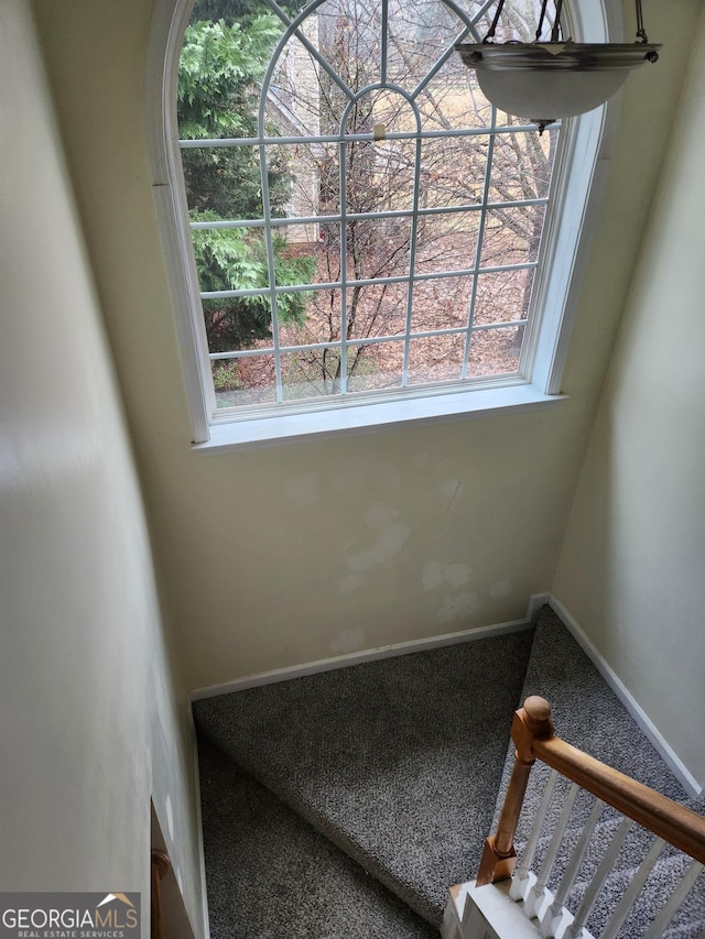 stairs with carpet floors